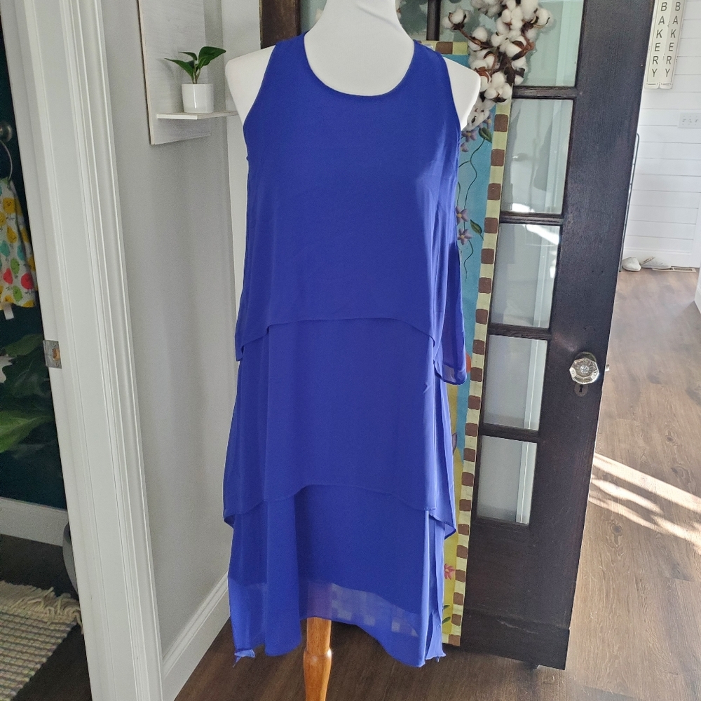 NWT dress